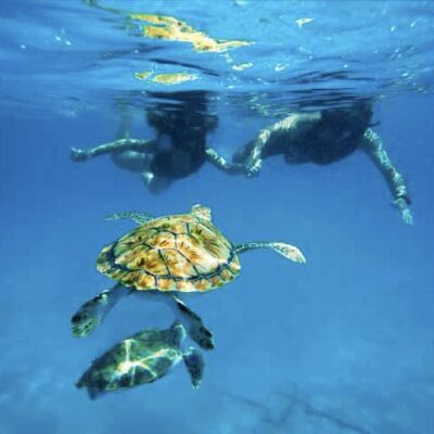 Barbados Tours | Pelican Explore Chill out sunset dinner cruise in Barbados, photo 1