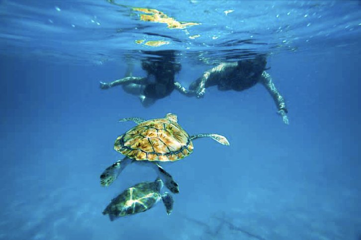 Barbados Tours | Pelican Explore Chill out sunset dinner cruise in Barbados, photo 1