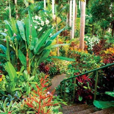 taste of barbados - tours - barbados