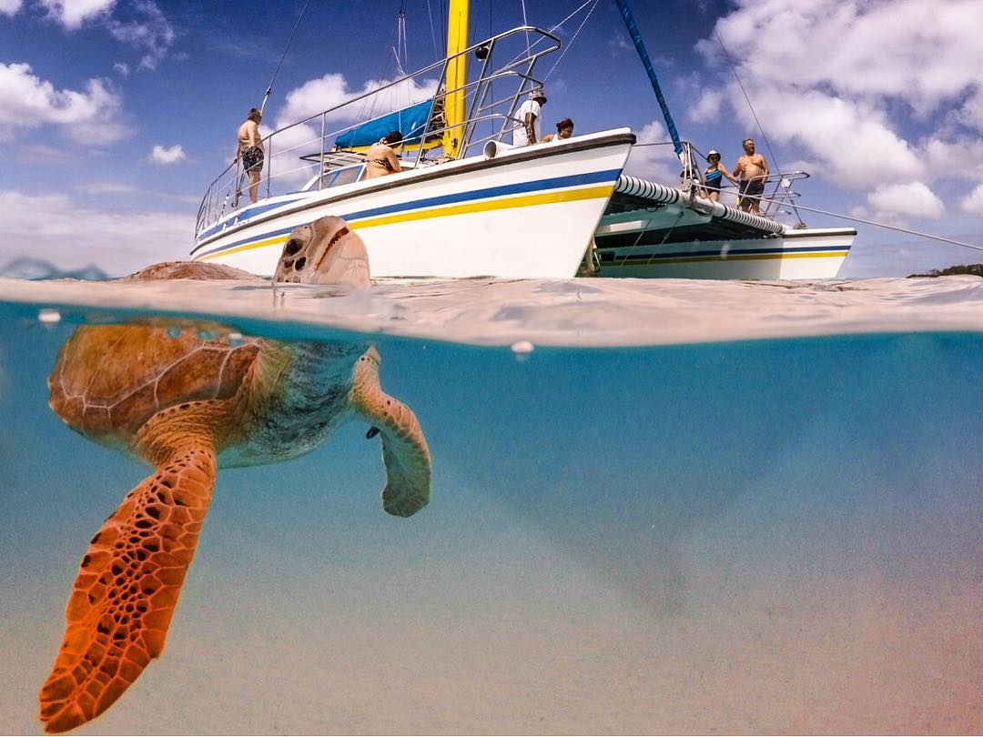 Barbados Tours | Pelican Explore Standard classic day cruise in Barbados, photo 1