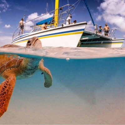wasnt me - catamaran cruise - barbados