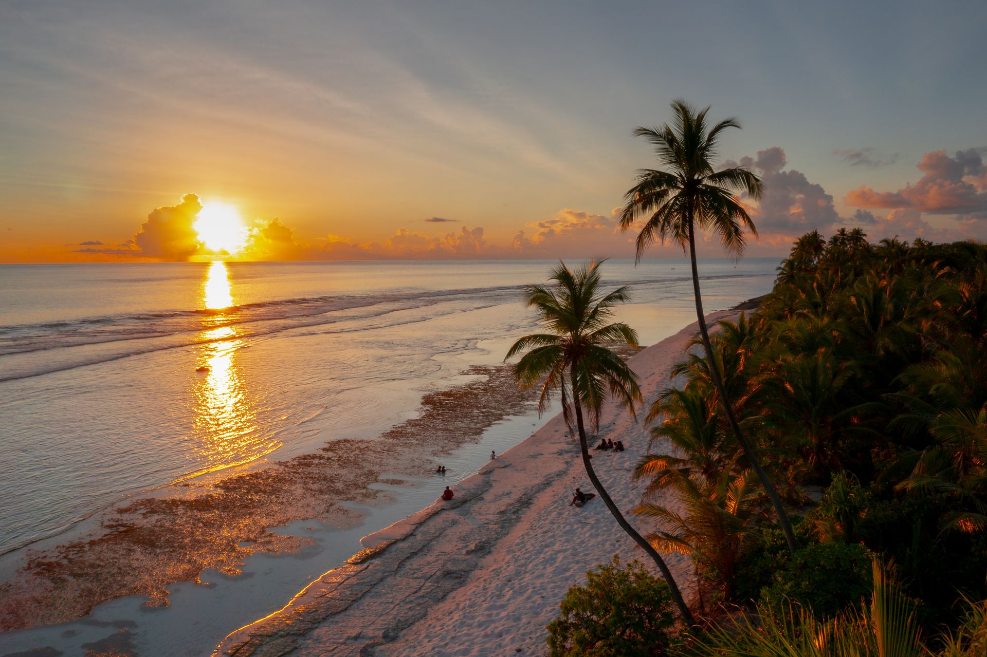 Barbados Tours | Pelican Explore Barbados Tours | Pelican Explore